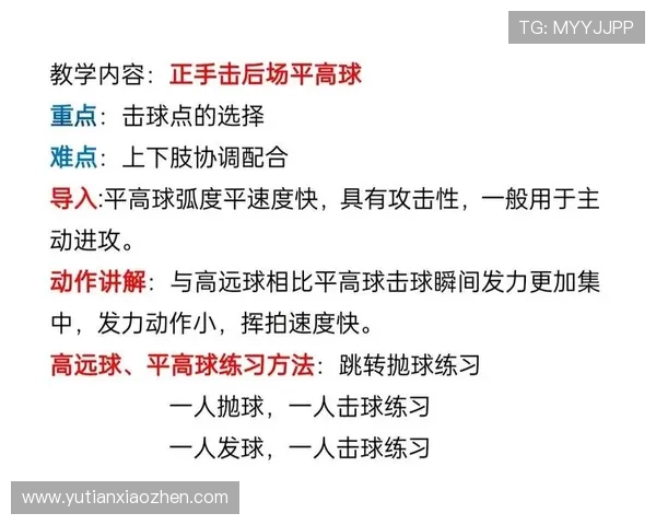 南京羽毛球队技术解析与训练方法探讨助力羽毛球运动发展