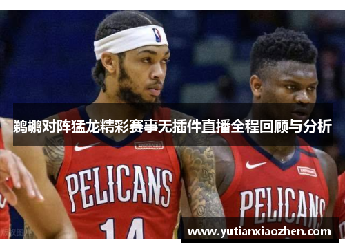 鹈鹕对阵猛龙精彩赛事无插件直播全程回顾与分析